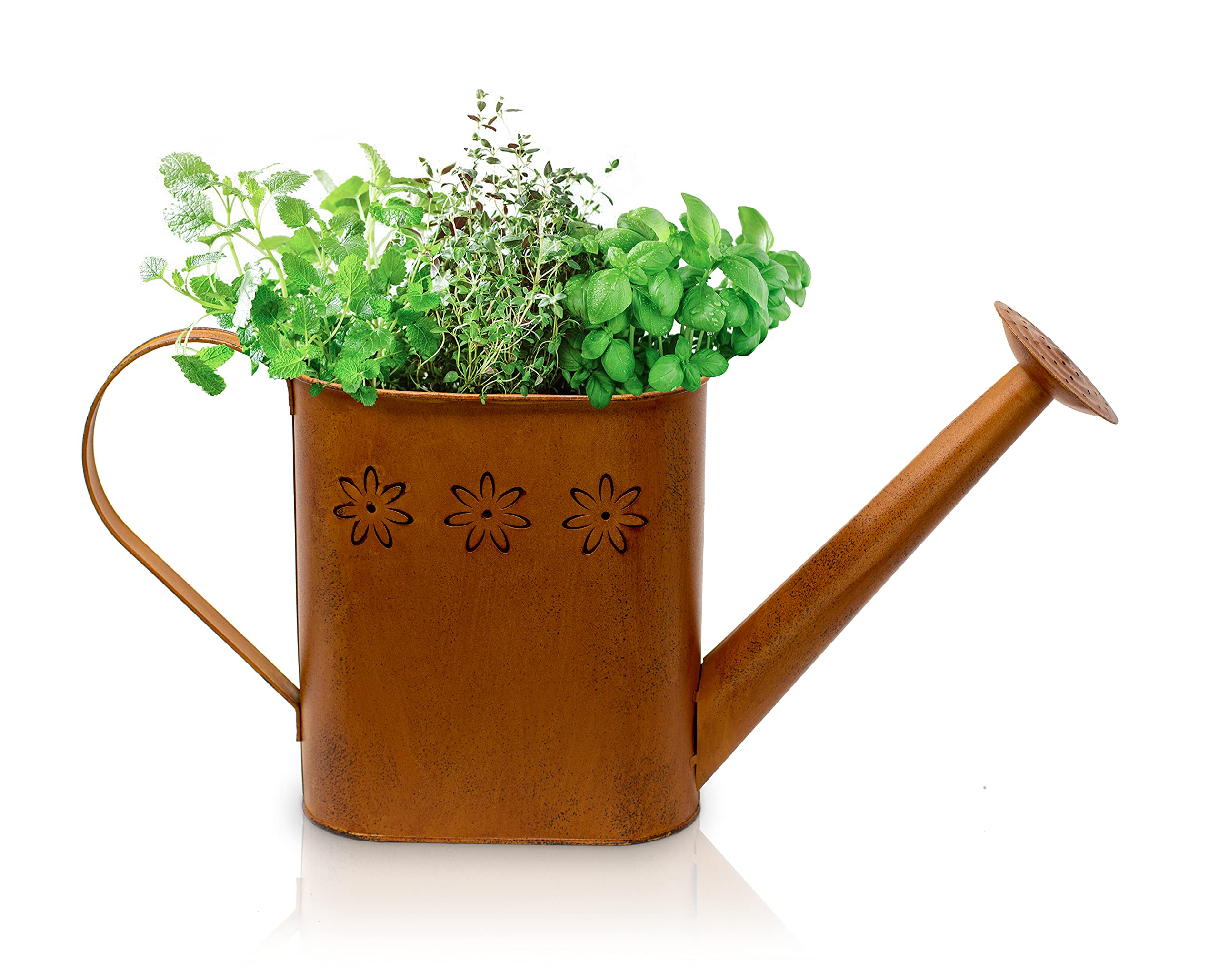 Blümelhuber Patina Garden Decoration Vintage - Rust Decorative Watering Can Metal for Planting - Watering Can Metal Decoration - Metal Watering Can as Balcony Decoration, Patio or Front Garden