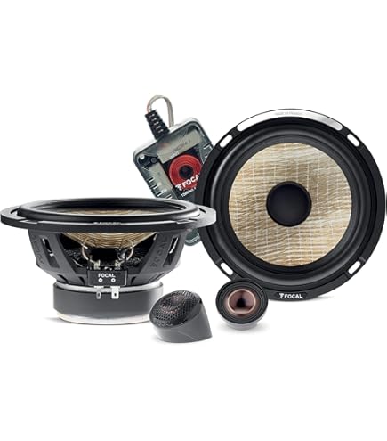 Amazon.com: Focal 165 V20 6.5