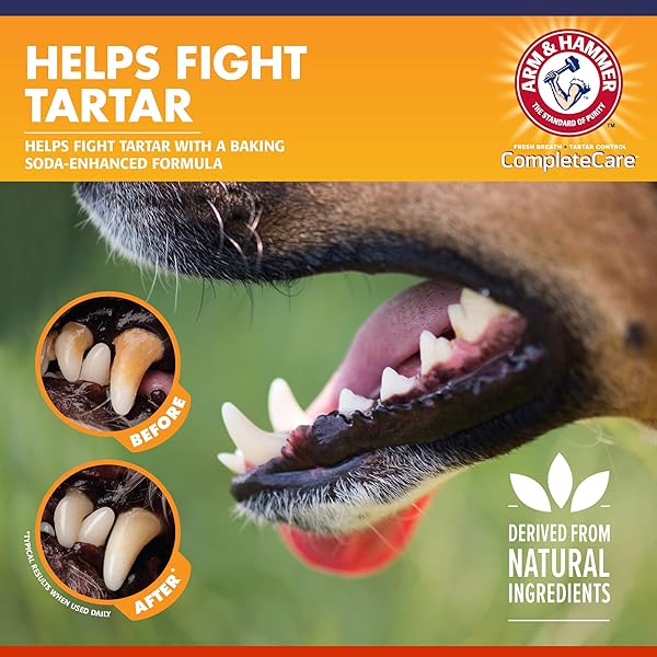 ARM & HAMMER COMPLETE CARE DOG DENTAL KIT WITH ENZYMATIC DOG TOOTHPASTE, TOOTHBRUSH AND FINGER BRUSH, BAKING SODA AND CALCIUM FORMULA FOR PLAQUE TARTAR CONTROL, CHICKEN FLAVOR, 2.5 OZ