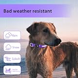 PcEoTllar Light Up Dog Collar Rechargeable 7 Colors 9 Modes Purple view 7