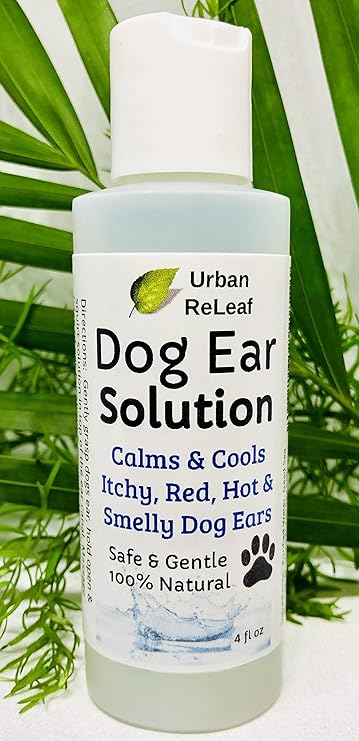 dogs ears are hot and itchy