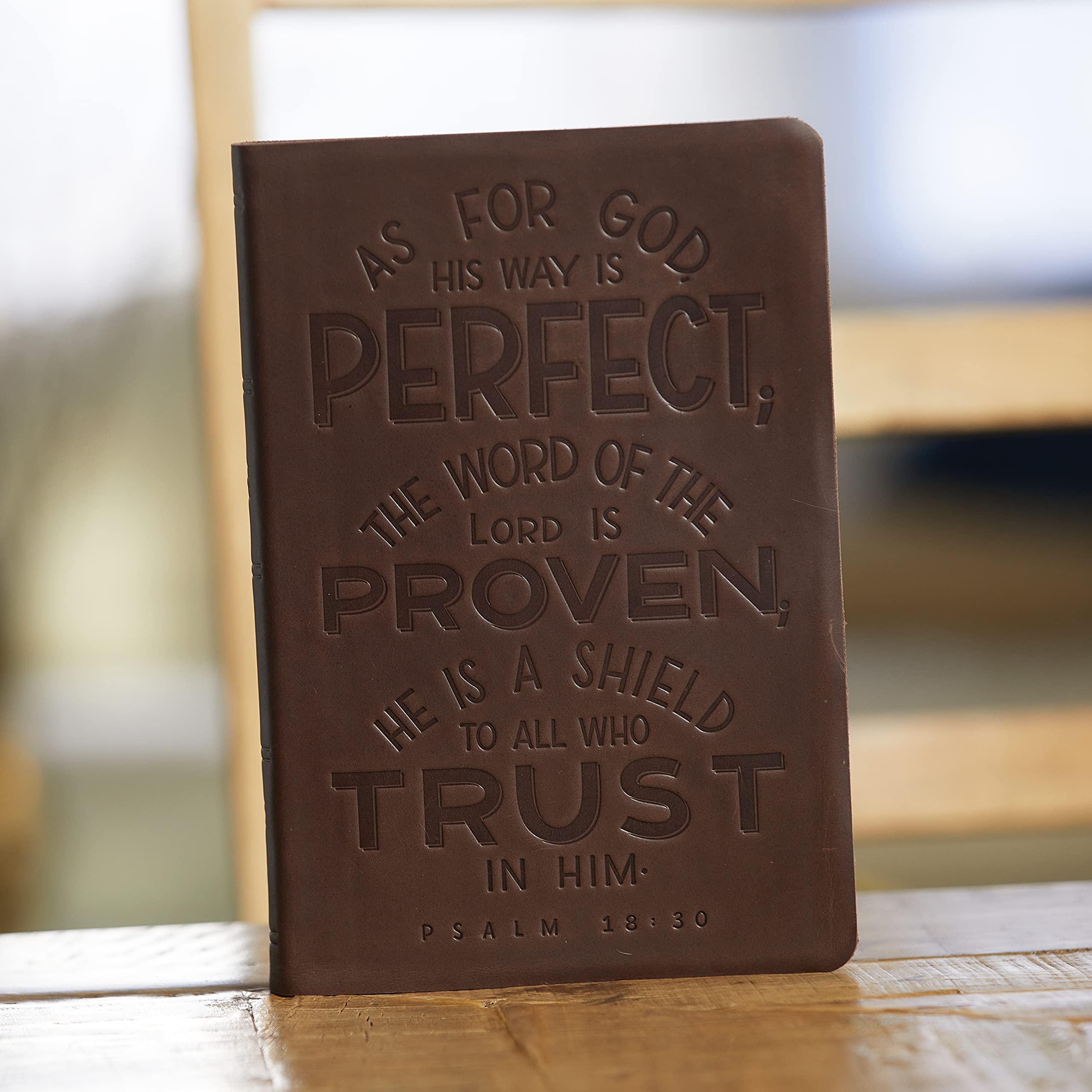 NKJV, Thinline Bible, Verse Art Cover Collection, Genuine Leather, Brown, Thumb Indexed, Red Letter, Comfort Print: Holy Bible, New King James Version