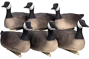 Heerweiyi Goose Decoys Pack of 6, Popular New Material EVA Collapsible Plastic Goose Hunting Decoys, Goose Decoys, Easy to Carry and Use, Cost Effective