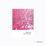 Hemway Rose Pink Glitter Shaker 130g Extra Chunky Resin & Epoxy view 2