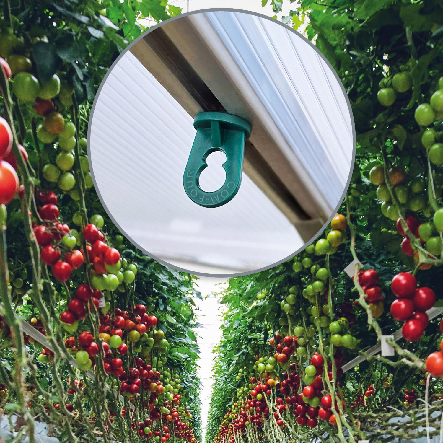 COM-FOUR® 50x Greenhouse Clips - Stable Plant Holders with high Load Capacity - Hanging Devices for greenhouses and Winter Gardens - Eyelets for Greenhouse Rails - Trellis Clips (050 Clips - Green)