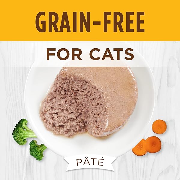 INSTINCT ORIGINAL PATE WET CAT FOOD, GRAIN FREE RECIPE – REAL CHICKEN, 3 OUNCE (PACK OF 24)