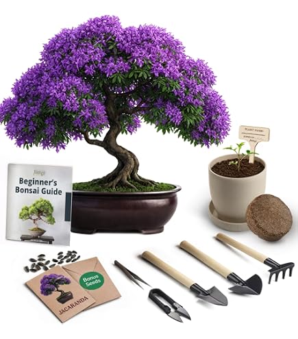 Amazon.com: Pseudobombax Ellipticum bombax exotic shaving brush
