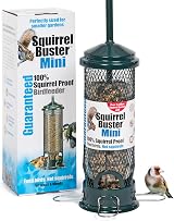 Jacobi Jayne Squirrel Buster Mini Squirrel Proof Bird Feeder