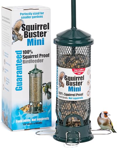 Jacobi Jayne Squirrel Buster Mini Squirrel Proof Bird Feeder