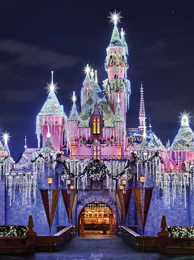 Ensemble De Scene De Fete Princesse Chateau De Disney Grande Impression Sur Le Dos Grande Toile De Fond Impression Sur Le Dos 1 5 M X 2 M Amazon Fr Cuisine Maison