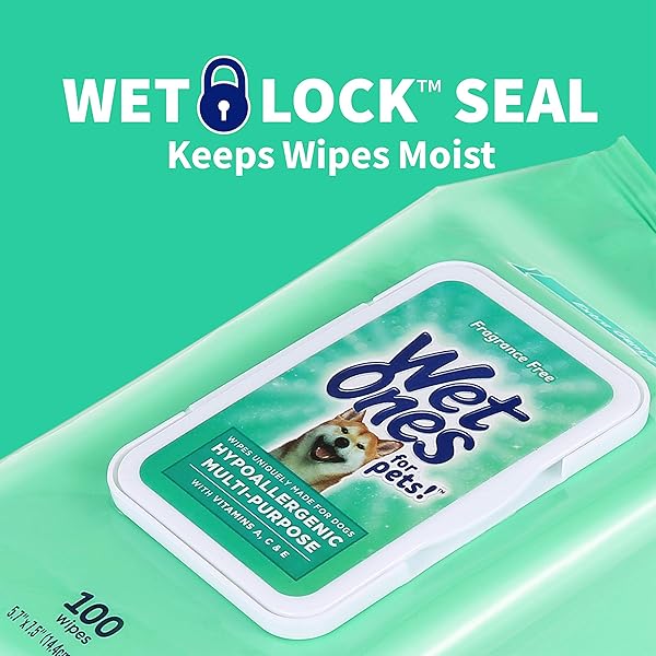 WET ONES FOR PETS HYPOALLERGENIC MULTI-PURPOSE DOG WIPES WITH VITAMINS A, C & E | NO FRAGRANCE HYPOALLERGENIC DOG WIPES FOR ALL DOGS WIPES MULTIPURPOSE | 100 COUNT POUCH DOG WIPES