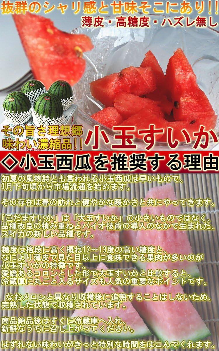 Amazon 小玉 スイカ 千葉県産中心 Ja共撰 約10kg 3 6玉入り 訳あり品 露地栽培 日本有数の大産地 千葉 西瓜 産地から玄関へ すいか 通販