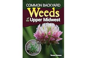 Common Backyard Weeds of the Upper Midwest