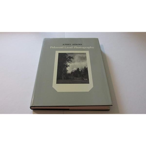 Amazon.com: William Eggleston: Polaroid SX-70: 9783958295032