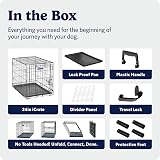 MidWest Homes for Pets 24-Inch iCrate Folding Dog Crate with Divider Panel view 8