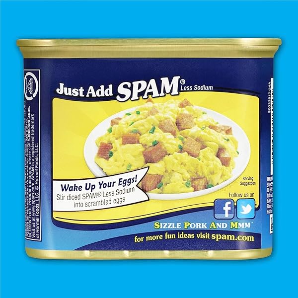 HORMEL FOODS SPAM, 12 OZ CAN