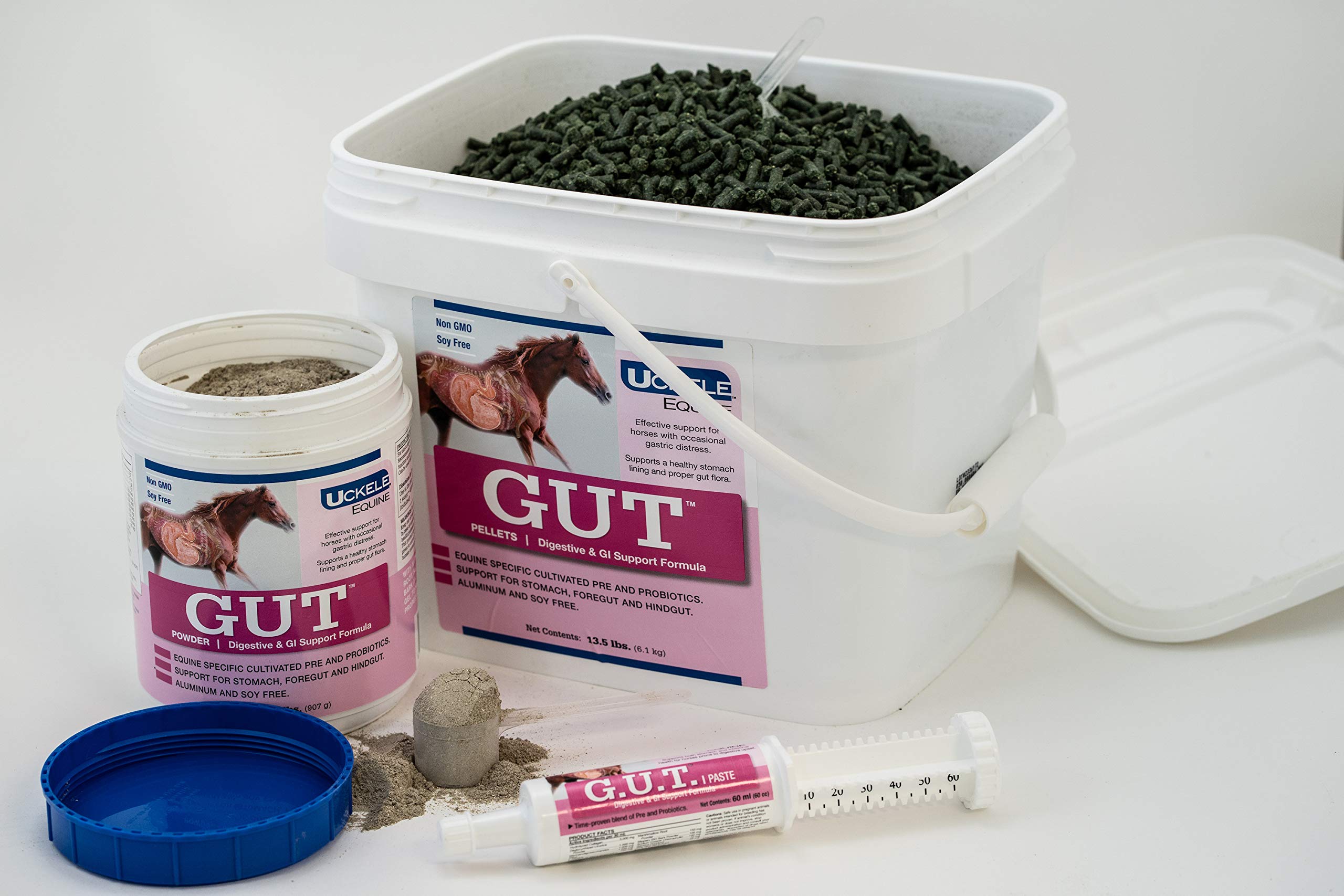 Uckele Gut Horse Supplement Buy Online in UAE. Pet Supplies
