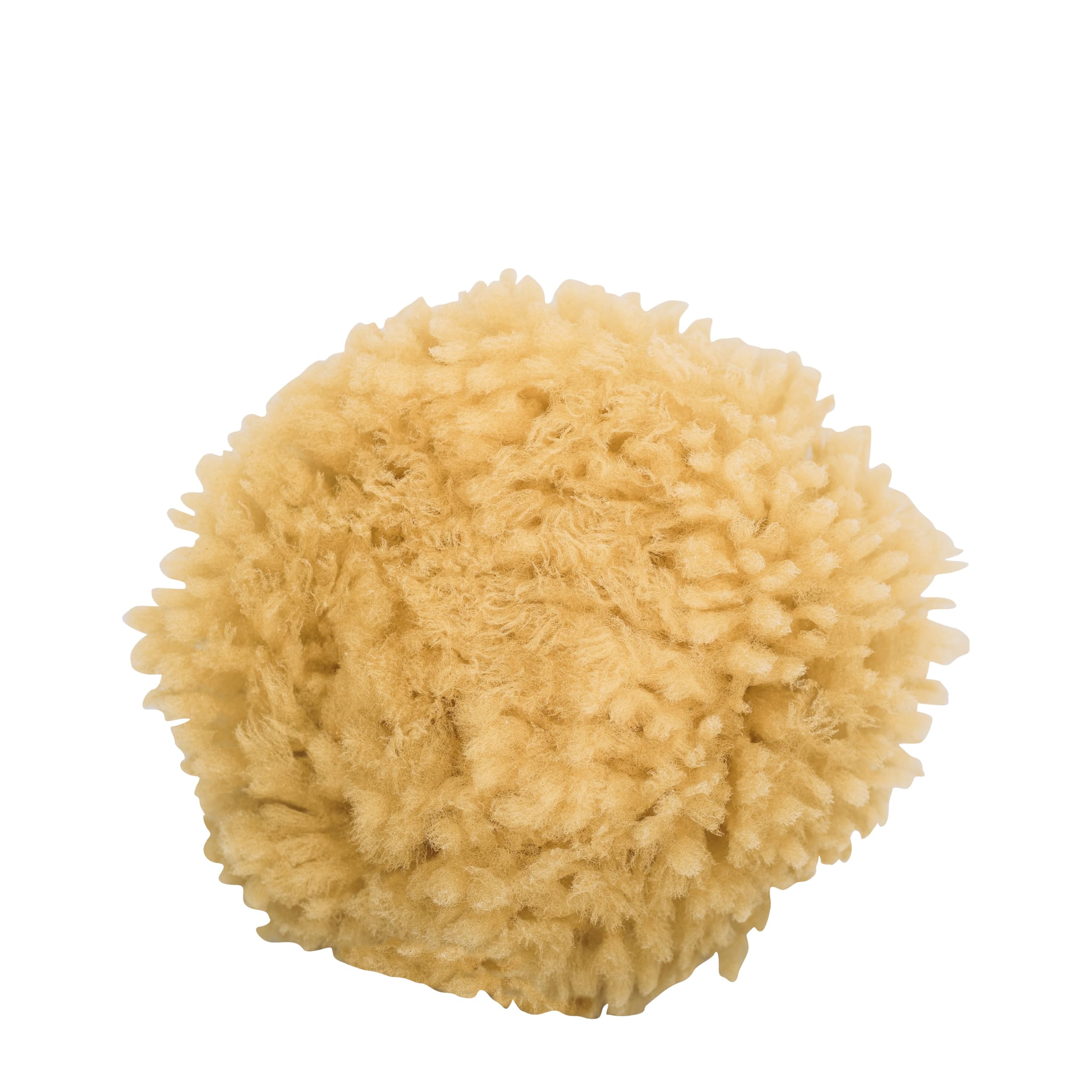 4025 NIY Niyok Sea Sponge Body Approx. 10 cm