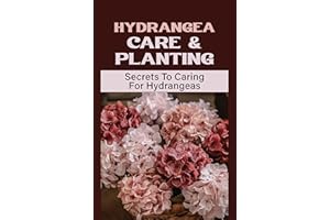 Hydrangea Care & Planting: Secrets To Caring For Hydrangeas: All About Hydrangea
