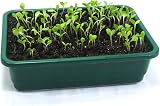 Britten & James Small Seed Tray Green Pack of 12 23x17cm Heavy Duty view 2