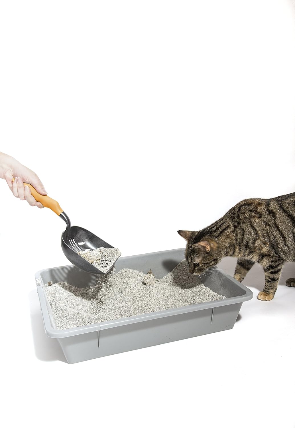 Diy Cat Litter Sifter / Shop Daro Silica Cat Litter Sifter Online