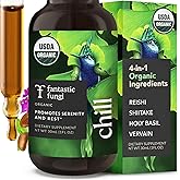 Fantastic Fungi Reishi Mushroom Extract Drops - Chill Elixir Mushroom Tincture with Holy Basil, Shiitake & Vervain - 4-in-1 Organic Mood Support Supplement for Relaxation & Calm, 30 Servings, 1 fl oz