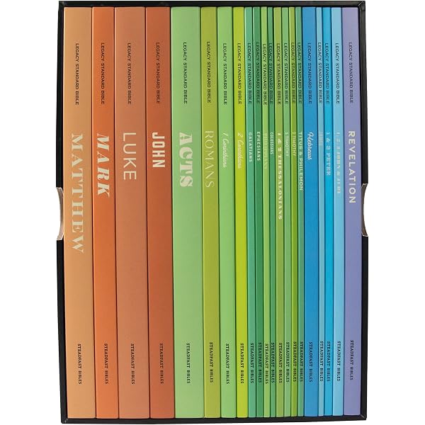 The New Interpreter's® Bible Commentary Ten Volume Set