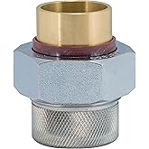 Eastman 20505 Dielectric Union, 1 inch FIP x 1 inch Solder, Brass