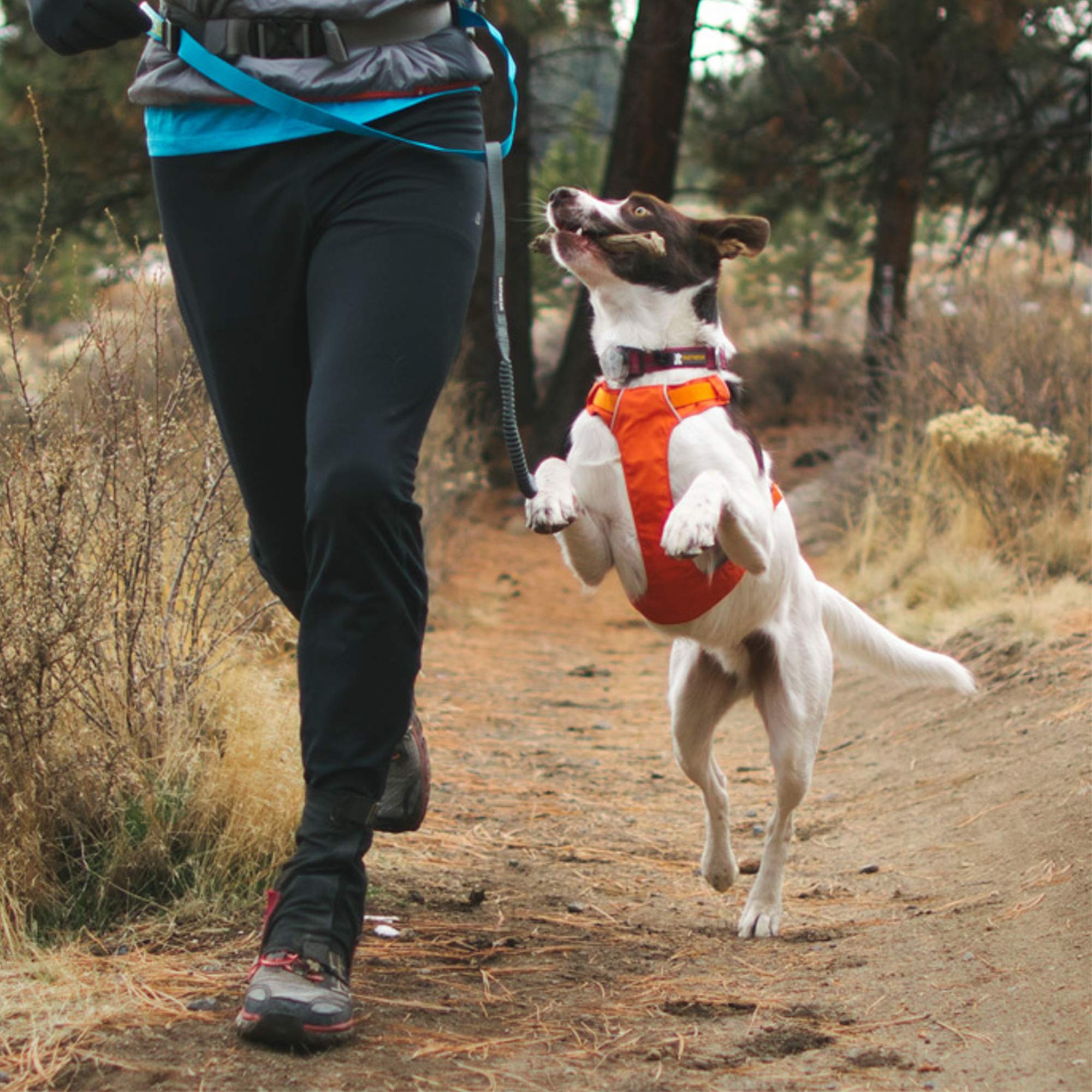 ruffwear hi and light