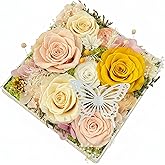 HipTree Preserved Yellow Rose Forever Real Eternal Pastel Austin Rose Gifts for Women, Valentine’s Day Mother’s Day Easter Birthday Christmas Wedding Anniversary for Mom Wife Girlfriend