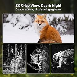 4G LTE Cellular Trail Cameras 2K 360° View Live
