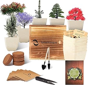 Smalltongue Indoor Bonsai Tree Garden Kit, with 6 Pots and All Supplies You Need, Indoor Bonsai Tree Garden Starter Kit for Beginner, Adult, Kitchen, Balcony, Window Sill