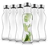 JoyJolt Spring Glass Water Bottles Set of 6-18 oz Glass Bottles with Stainless Steel Caps - Glass Drinking Bottles with Leakproof Lids - Reusable Glass Juice Bottle - Container Bottle Set
