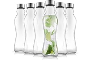 JoyJolt Spring Glass Water Bottles Set of 6-18 oz Glass Bottles with Stainless Steel Caps - Glass Drinking Bottles with Leakproof Lids - Reusable Glass Juice Bottle - Container Bottle Set
