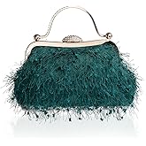 SlHiEke Tassel Women's Evening Handbag Cocktail Prom Formal Clutch Purse Feather Elegant Shoulder Bag for Wedding Banquet