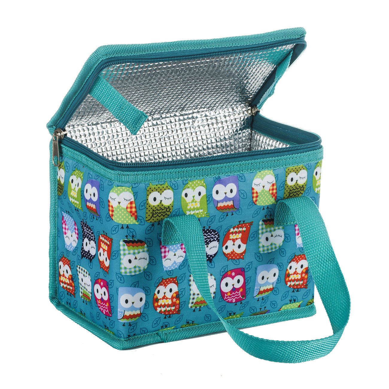 TEAMOOK Folding Lunch Bag Insulated Lunch Box Cool Bag Green Owl 4-6 cans