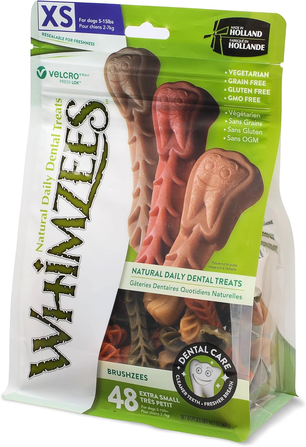 baby tortoise pets at home