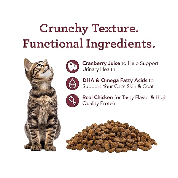 GET NAKED URINARY CAT HEALTH TREATS WITH CRANBERRY & REAL CHICKEN 6OZ | CRUNCHY, GRAIN-FREE, NATURAL URINARY TRACT & DENTAL CARE | SUPPORTS UT SUPPORT & FRESH BREATH | MADE IN THE USA