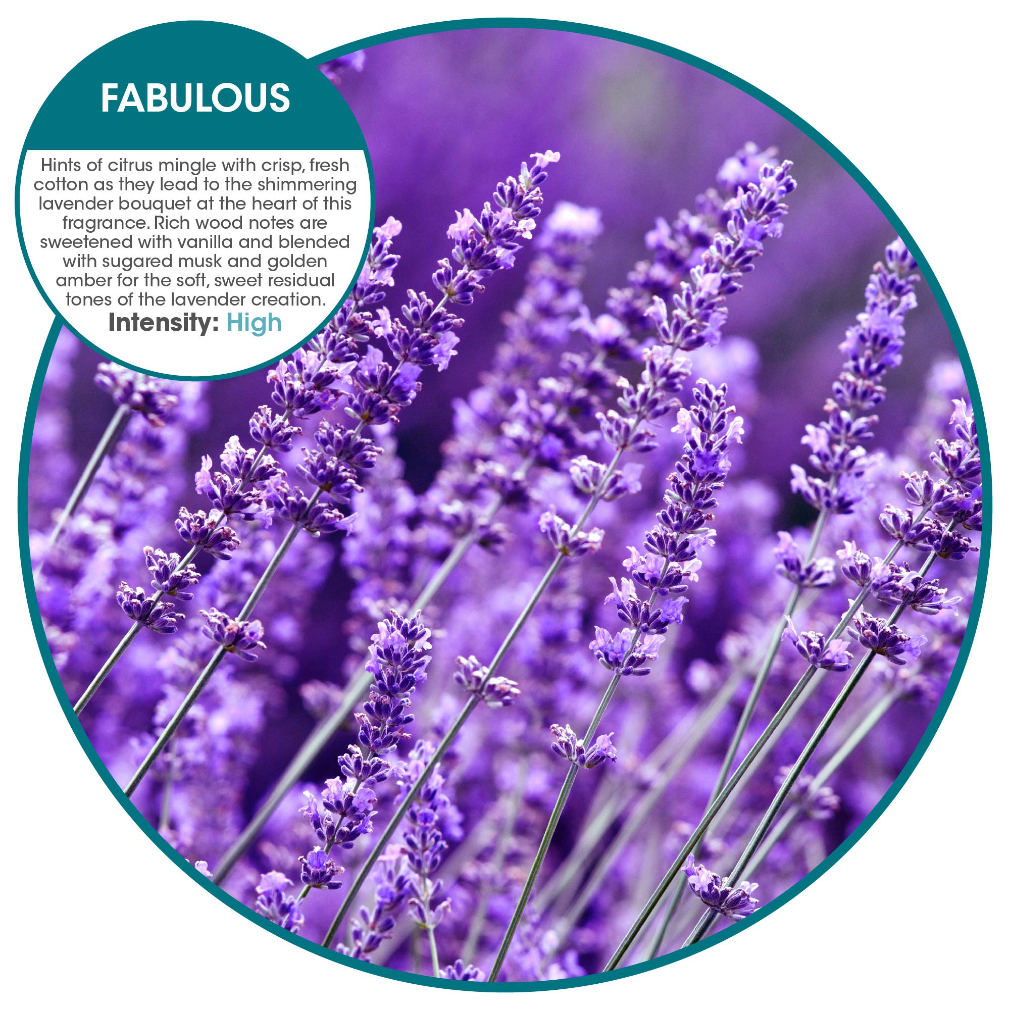 Fresh Products Eco-Air Refill, Air Freshener, Dry Fragrance Refill, Natural Oils, No Acetone or Propellants, Lasts 30 Days, Eco-Friendly, Powerful Fragrance — Fabulous, Made In USA, 6 Pack