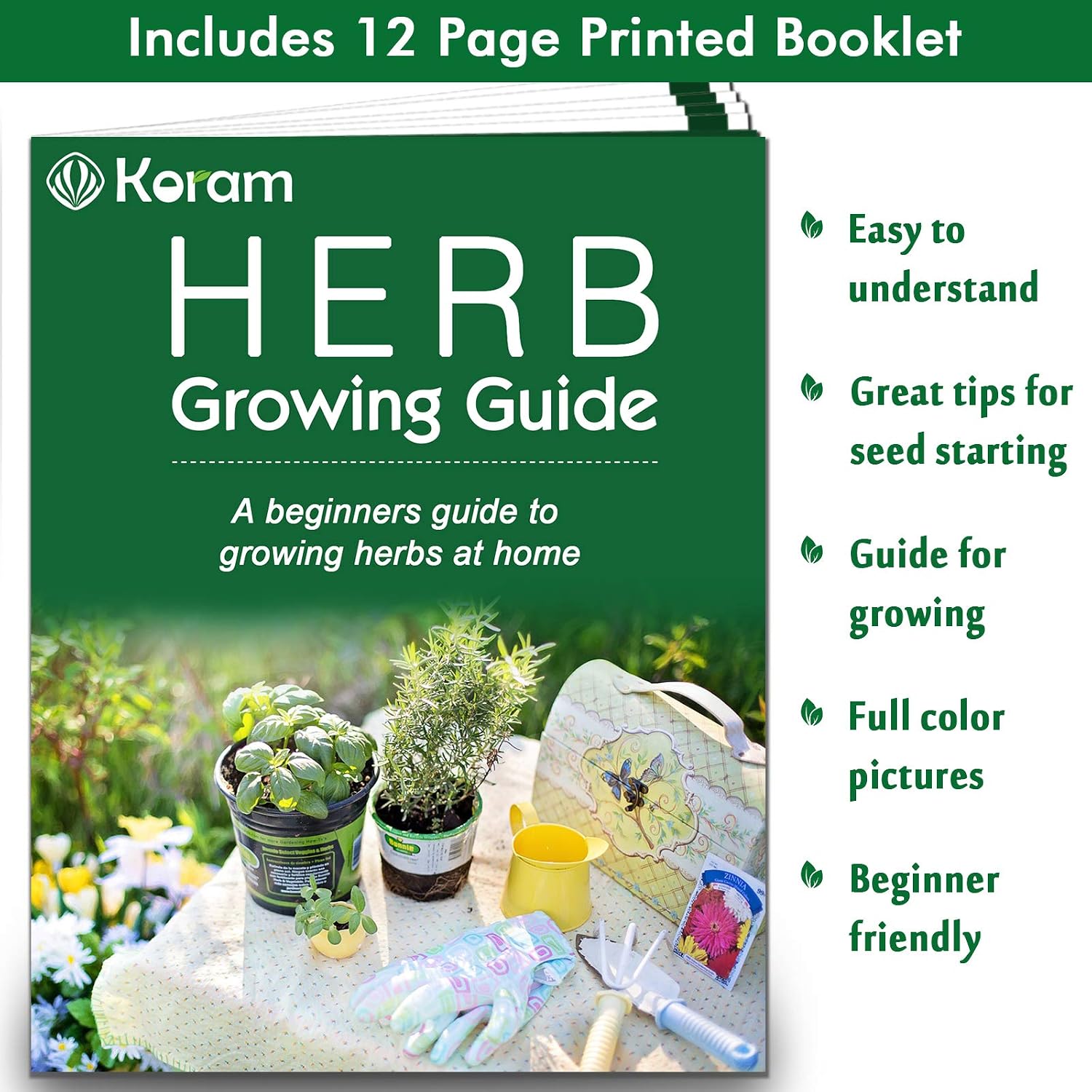 KORAM Kit de jardín de hierbas cultivo Set de iniciación de ...
