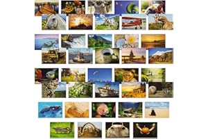 40 Pack Bulk Animal and Travel Postcards From Around the World for Mailing, Assorted Nature Thank You Notes (4 x 6 In)