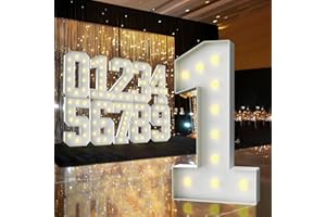 ZFUNBO 3FT Marquee Light Up Number,Marquee Numbers 3 Feet Tall, Large Led Sign for Baby Shower,Party,Birthday Decorations,Graduation,Prom(Number 1)