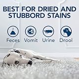 OUT! Urine Stain & Odour Destroyer 1 Litre Pro-Bacteria Enzymatic view 3