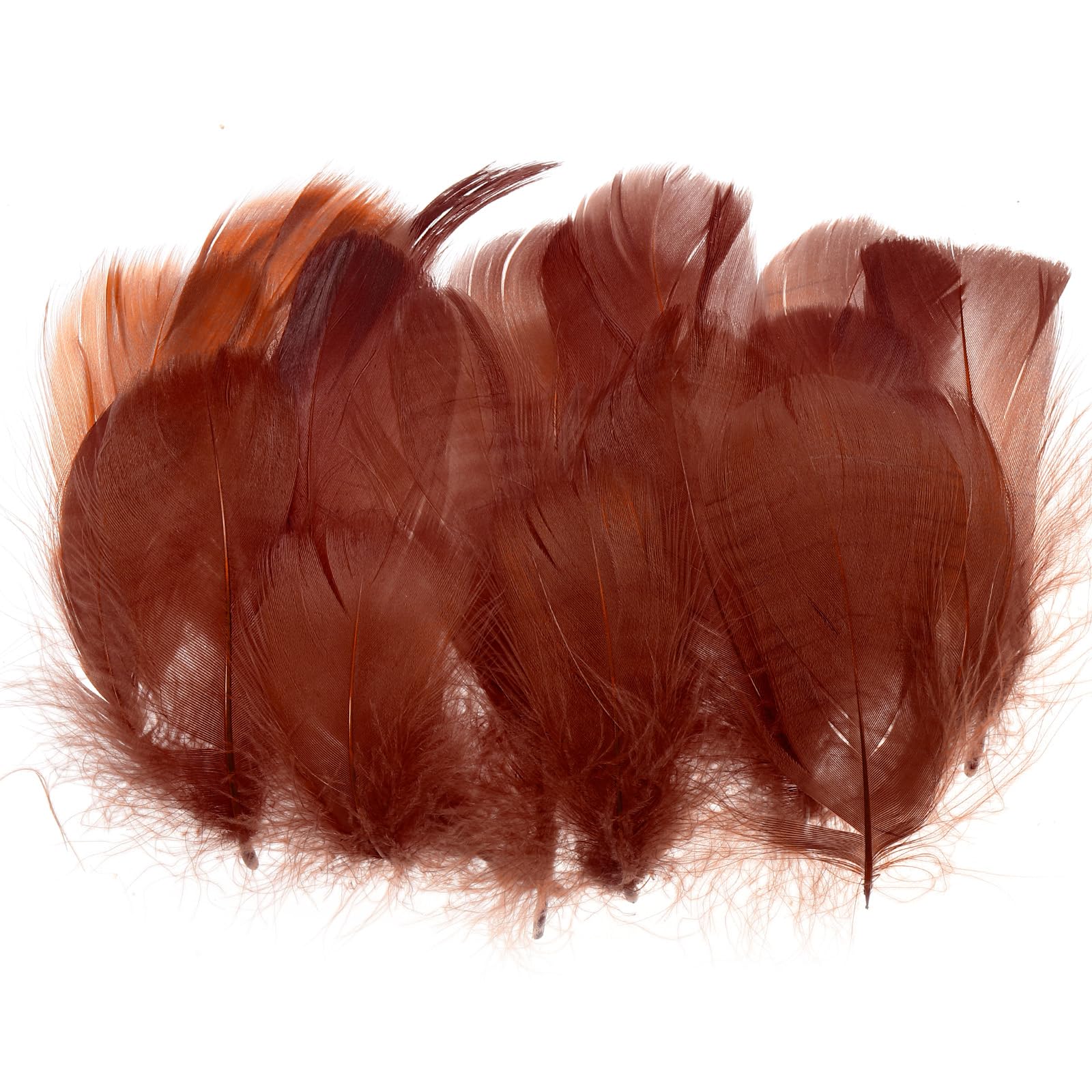 PATIKIL Colorful Feathers 3-5inch, 300pcs Goose Feathers Bulk for Crafts DIY, Wedding Home Party Decorations Dream Catcher, Dark Brown
