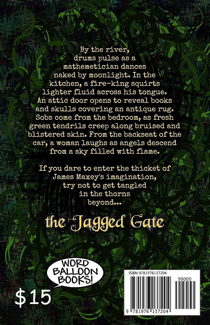 The Jagged Gate Twelve Tangled Tales Maxey James Amazon Com Books