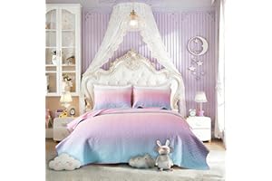 SUCHBED Pink Quilts Sets Queen Size for Girls, Heart-Shaped Quilted 2 Piece Bedspread Coverlet, Lightweight Soft Reversible Queen Quilt Bedding Set with Sham Blue-Pink Gradient