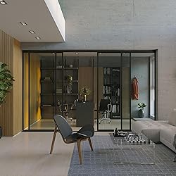 Doors 55 Glass Partition Wall & 4 Panel Room