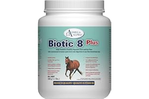 Omega Alpha Probiotic 8 Plus Equine Powder 500g, Multi-Strain Digestive Support Supplement with Enzymes & Prebiotics for Gut 