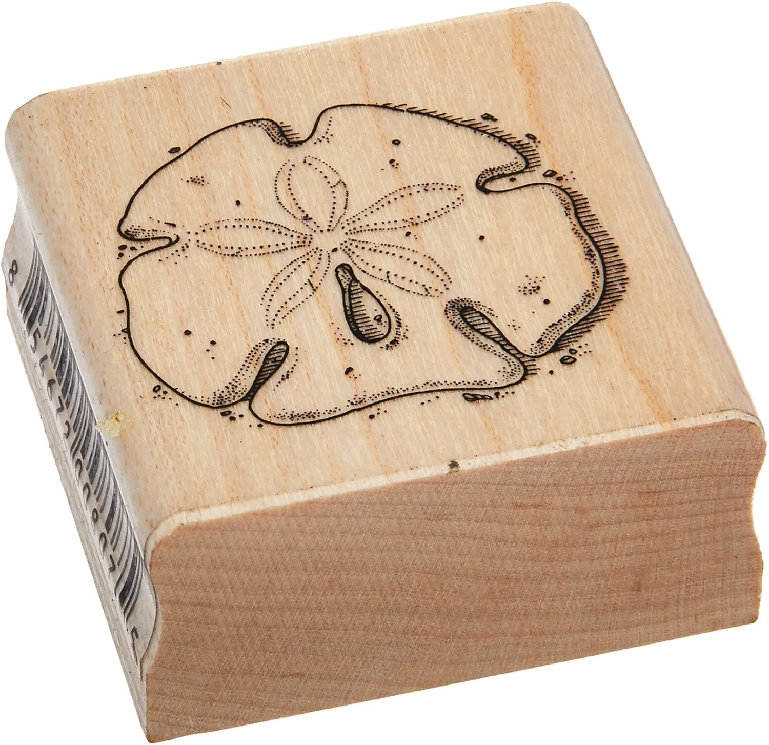 Stamps by Impression ST 0617a Sand Dollar Rubber Stamp, 1.5
