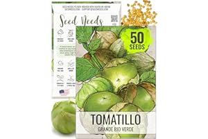 Seed Needs Tomatillo Seeds for Planting Grande Rio Verde Tomatillos - Non-GMO Heirloom & Untreated - Grow a Home Grown Outdoor Vegetable Garden - Great for Salsa & Mexican Cuisine (1 Pack)